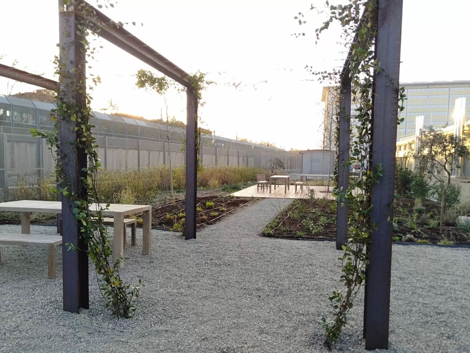 Pergolato realizzato con elementi grezzi stile industrial presso centro meteo Bologna in collaborazione con Flo' fiori