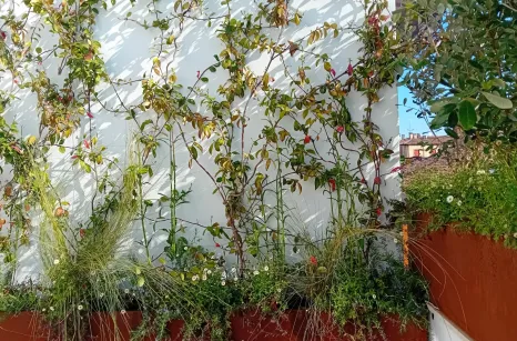 Realizzazione fioriere su misura in Acciaio Corten a Bologna