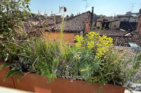 Realizzazione fioriere su misura in Acciaio Corten a Bologna