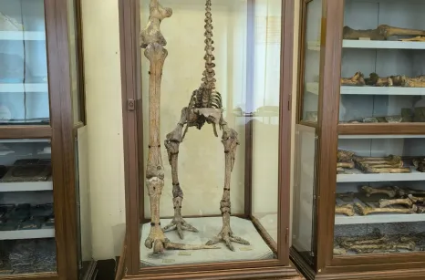 Teca in ferro e vetro