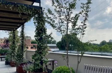 Trasformazione di un lastrico solare con tettoia in metallo