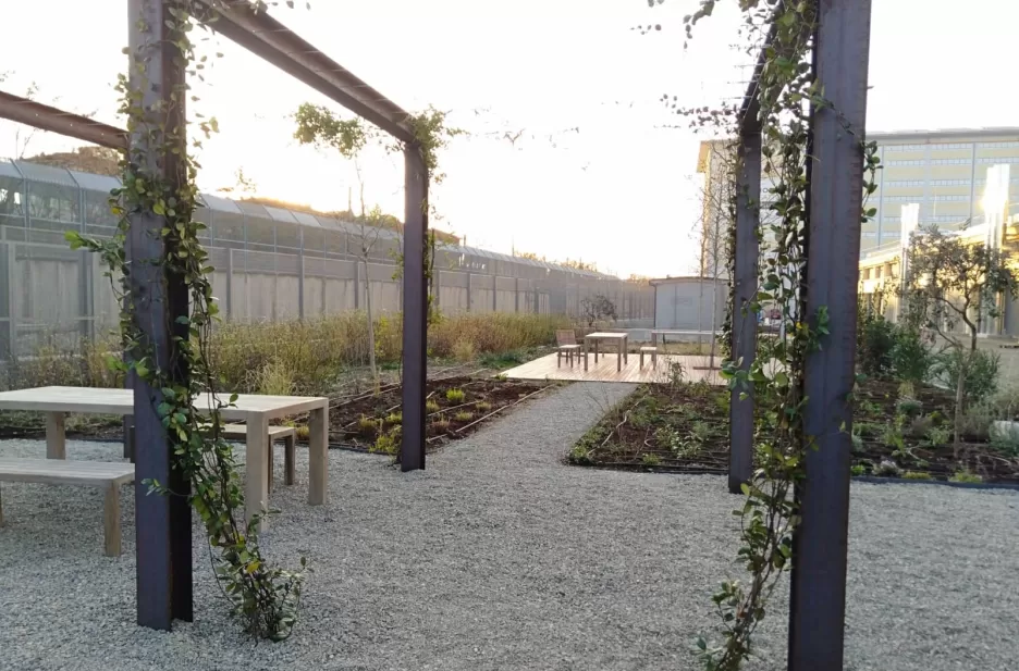 Pergolato realizzato con elementi grezzi stile industrial presso centro meteo Bologna in collaborazione con Flo' fiori